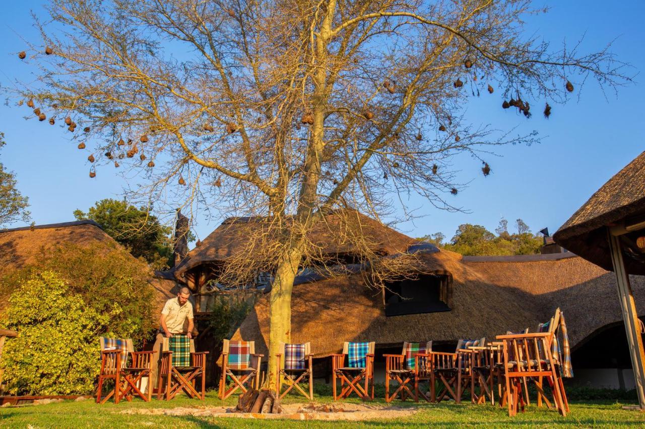 Lalibela Game Reserve Mark'S Camp Grahamstown Extérieur photo