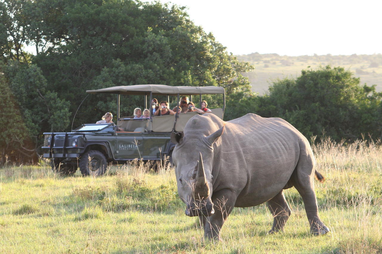Lalibela Game Reserve Mark'S Camp Grahamstown Extérieur photo