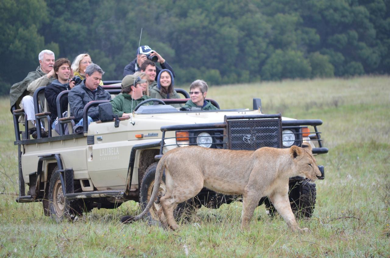 Lalibela Game Reserve Mark'S Camp Grahamstown Extérieur photo