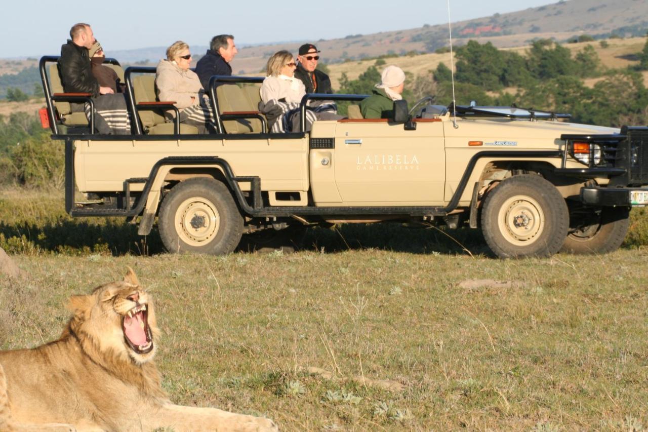 Lalibela Game Reserve Mark'S Camp Grahamstown Extérieur photo